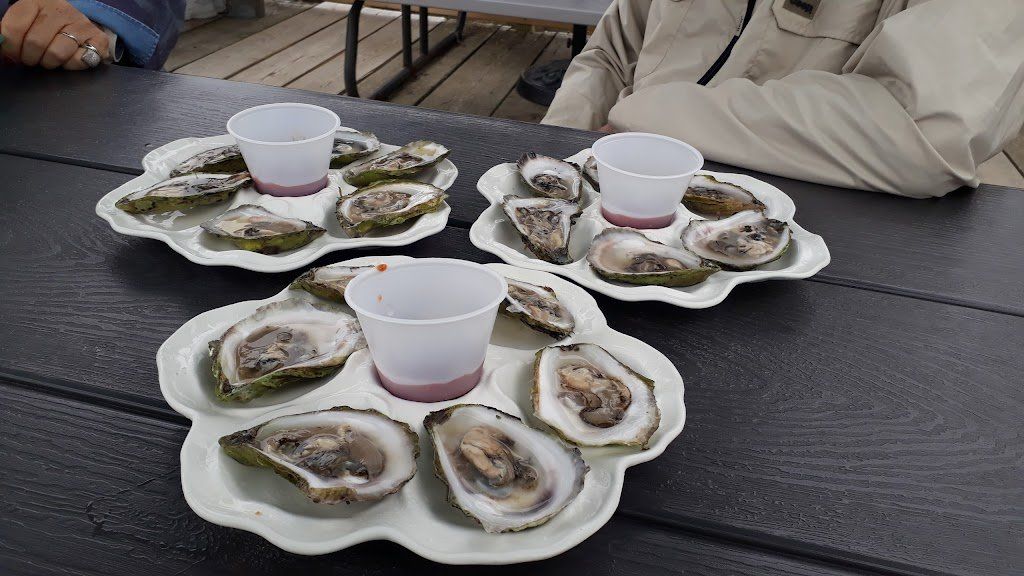 Three plates of oysters and shot glasses on a table.