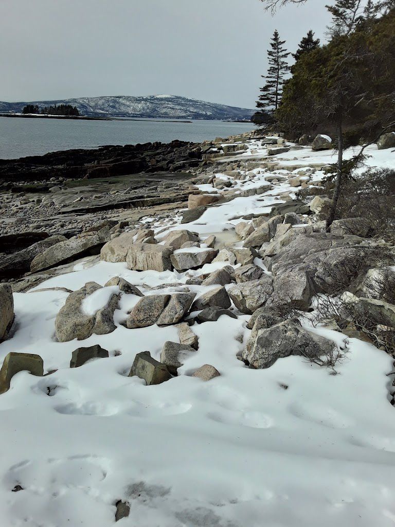 A snowy beach with rocks and trees in the background