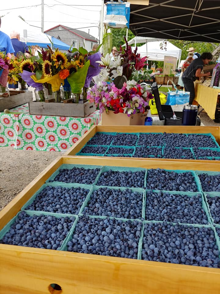 A bunch of blueberries are sitting on a table at a farmer 's market.
