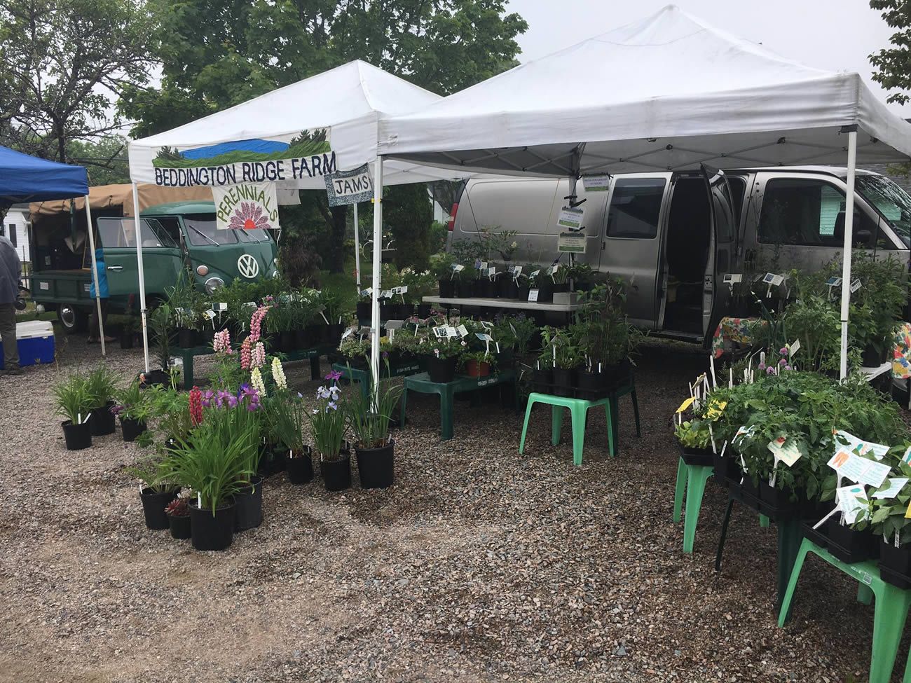 A van is parked in front of a tent filled with potted plants.
