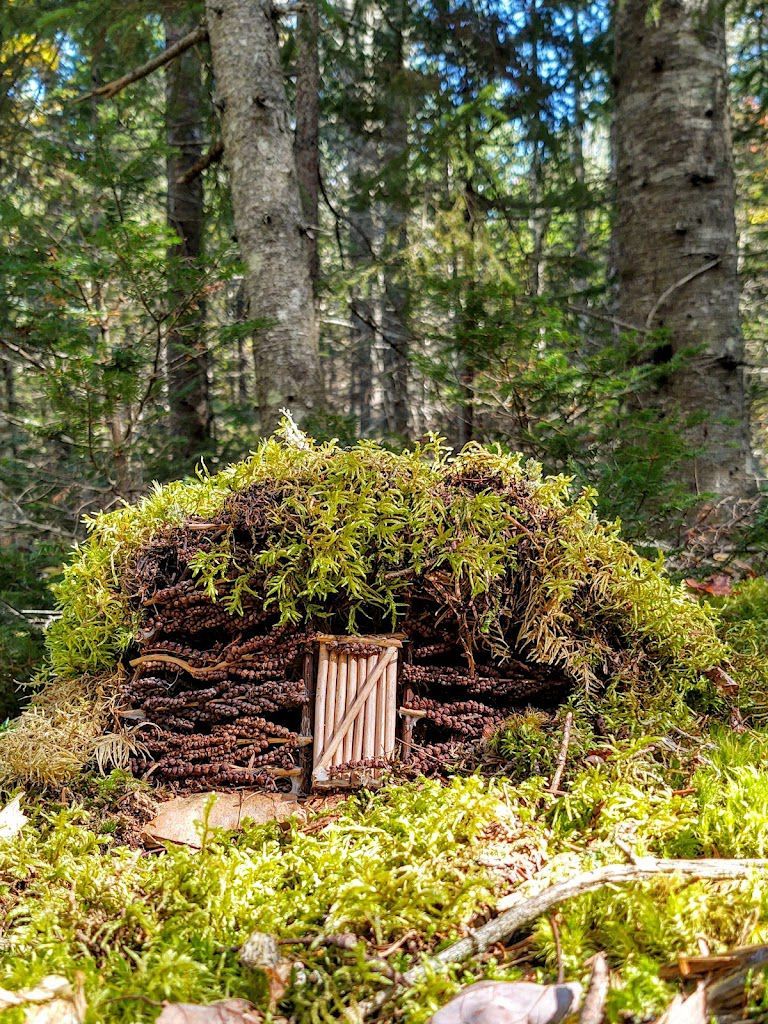 A small house made out of logs and moss in the middle of a forest.