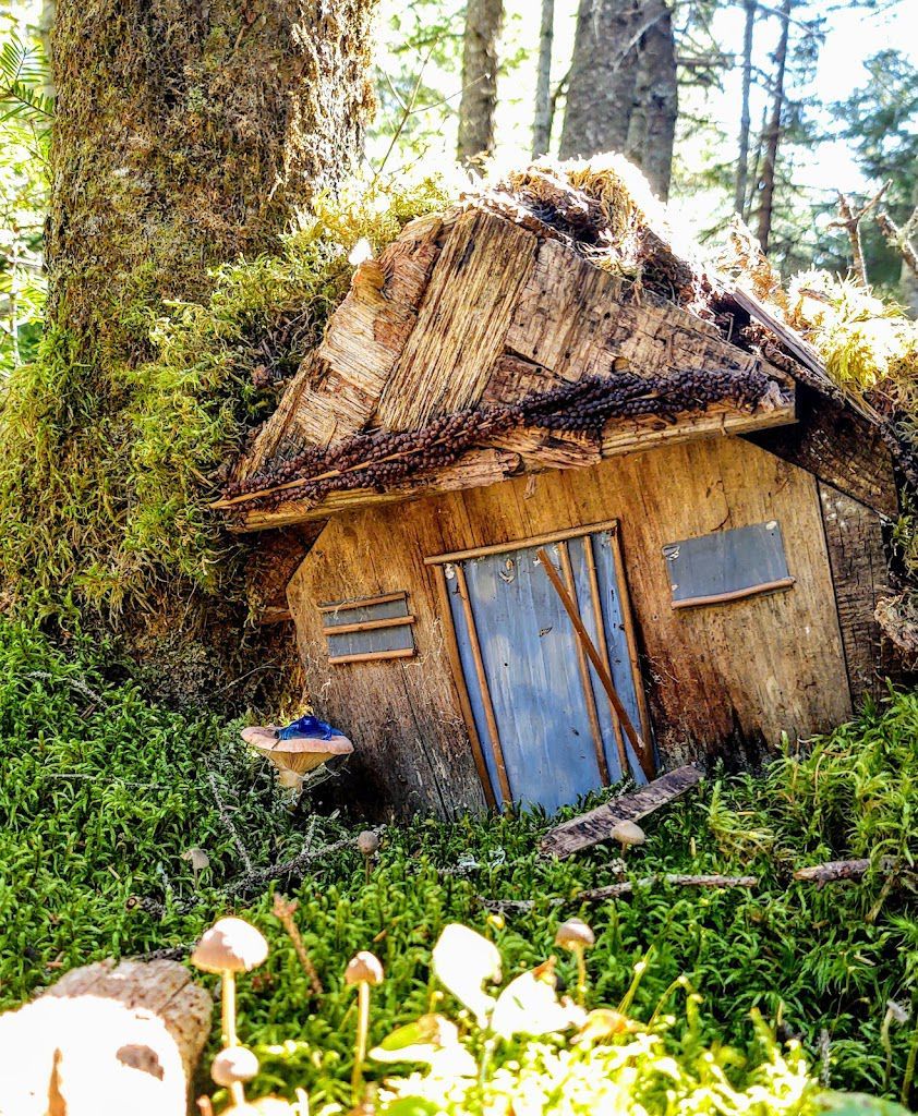 A small wooden house with a blue door is in the middle of a forest.