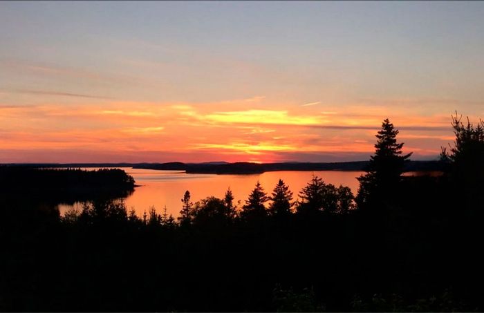 A sunset over a lake with trees in the foreground