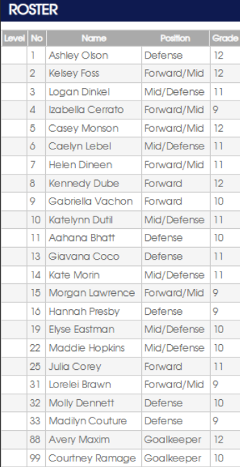 Roster listing names, positions, and grade levels of a sports team.