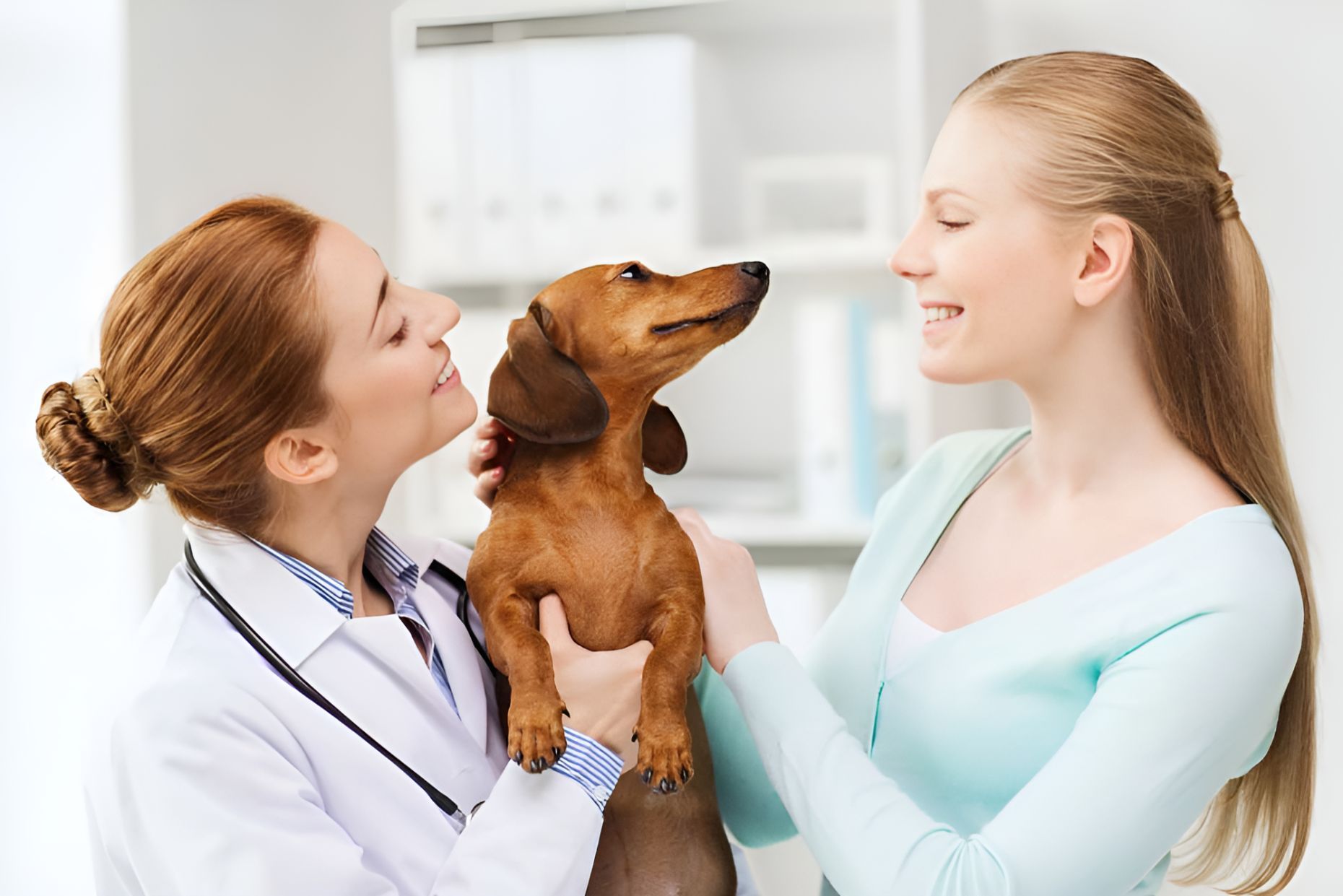 Woman Holding A Dog And Talking To A Woman — Blue & White Veterinary Clinic In Coffs Harbour, NSW