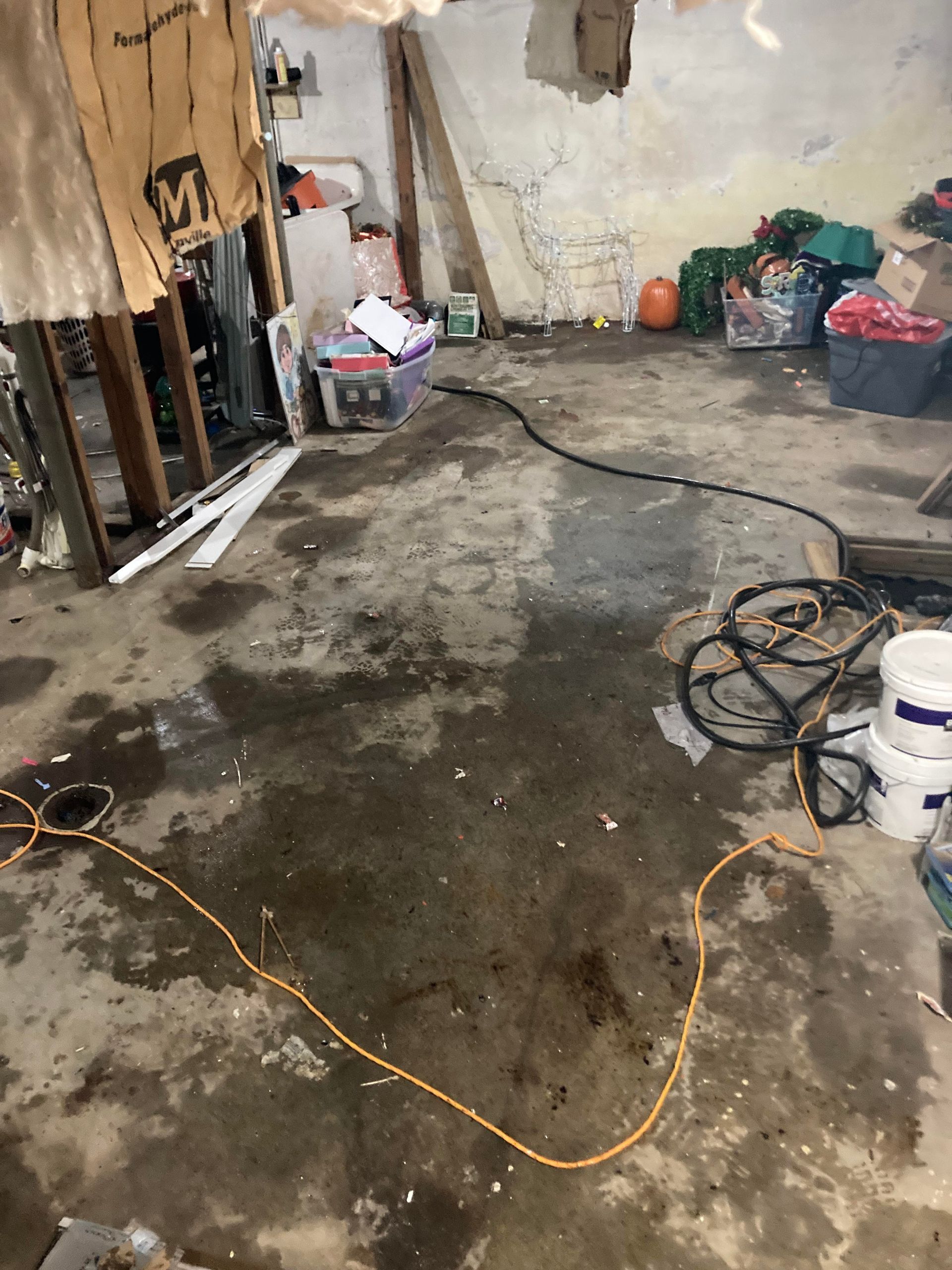 basement cleanout ri