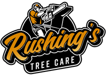 Silhouette of arborist in tree, company logo. Text:
