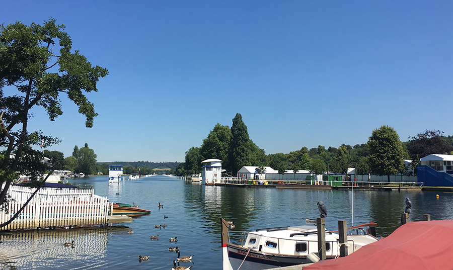 The river at Henley in Regatta week with boats and ducks in it on a sunny day