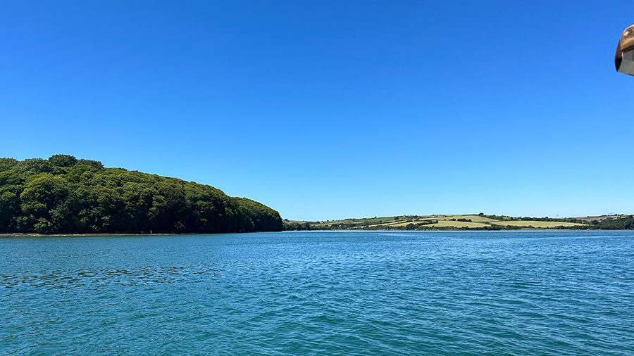 The River Dart with trees along the bank and hills in the distance