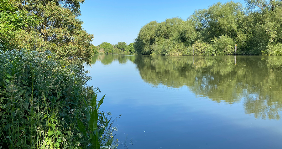 The river at Runnymede with trees along the riverbank