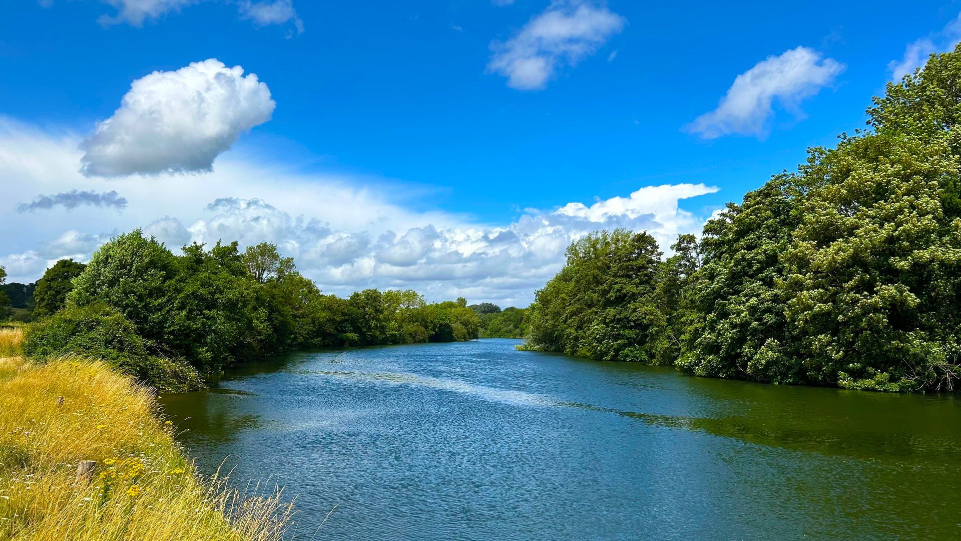 A river surrounded by trees on a sunny day