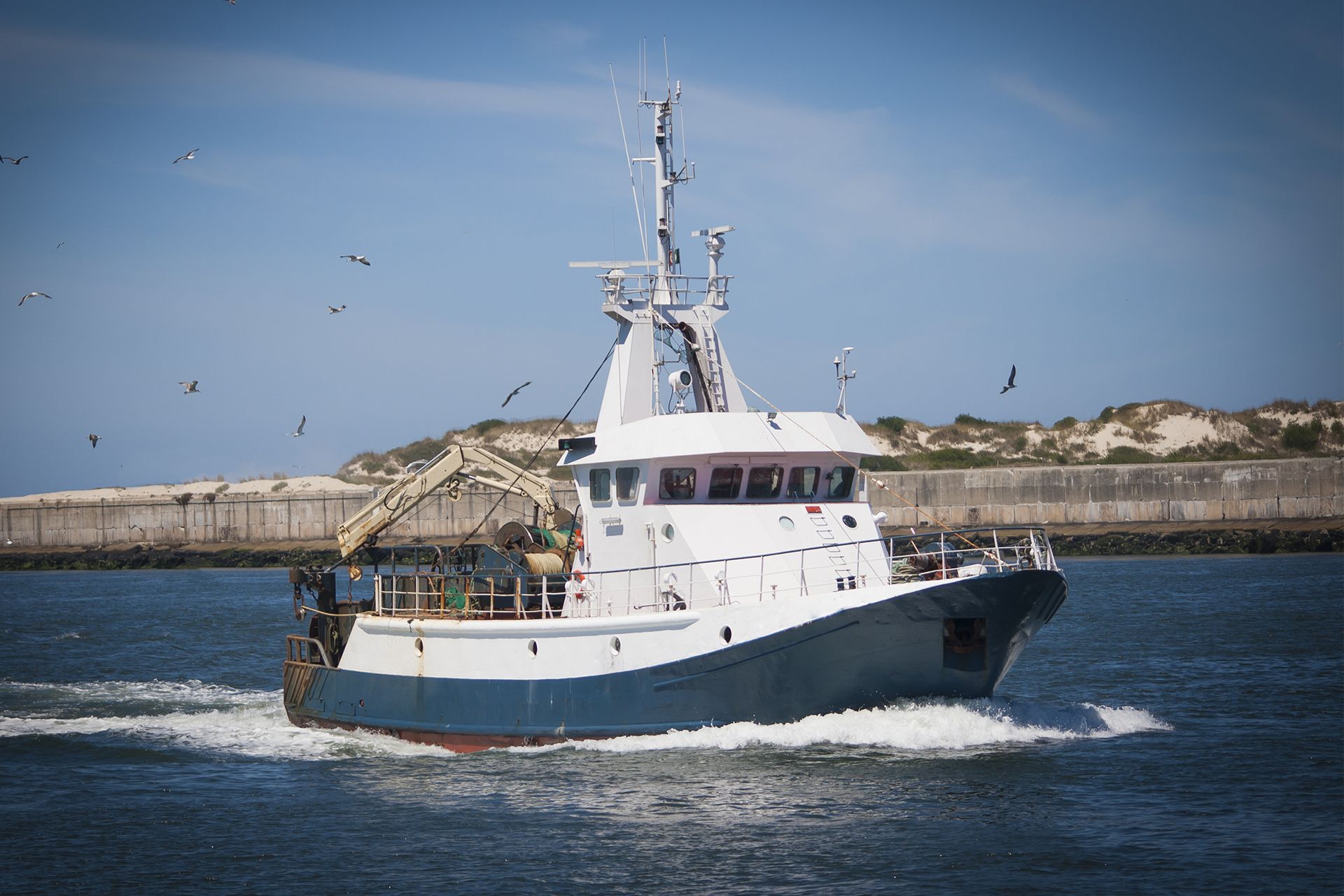 Fishing boat sailing on blue water with seagulls flying