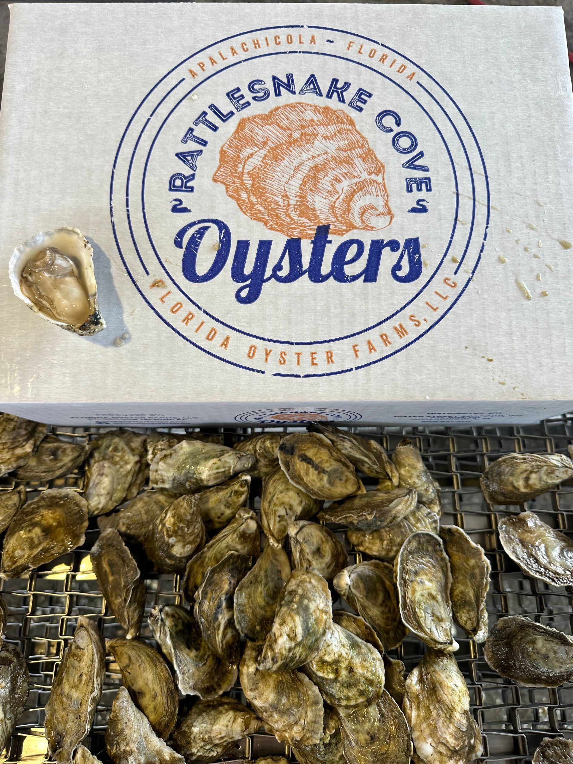 Raw oyster bar near me