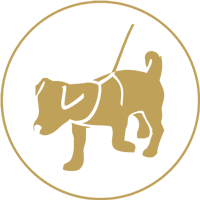 puppy instructions - dog walking icon