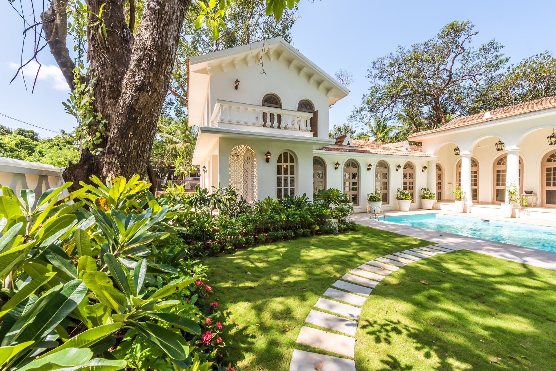 Tree Stump Removal in Renton, WA