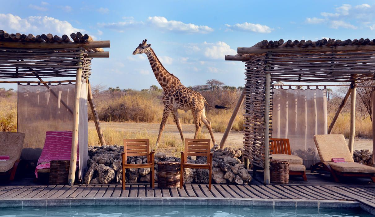Chem Chem Lodge – Between Tarangire and Lake Manyara