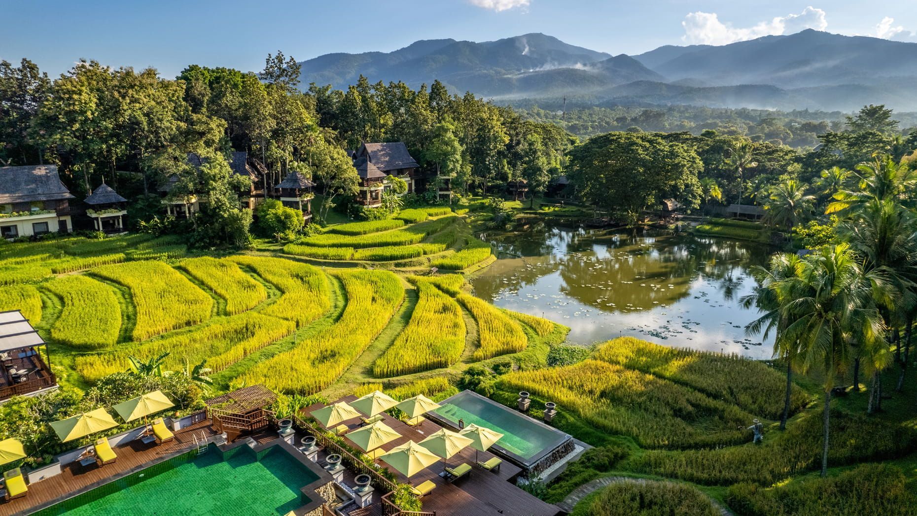 Lush green rice terraces, pond, and pool with mountains in the background. The Four Seasons Resort, Chiang Mai