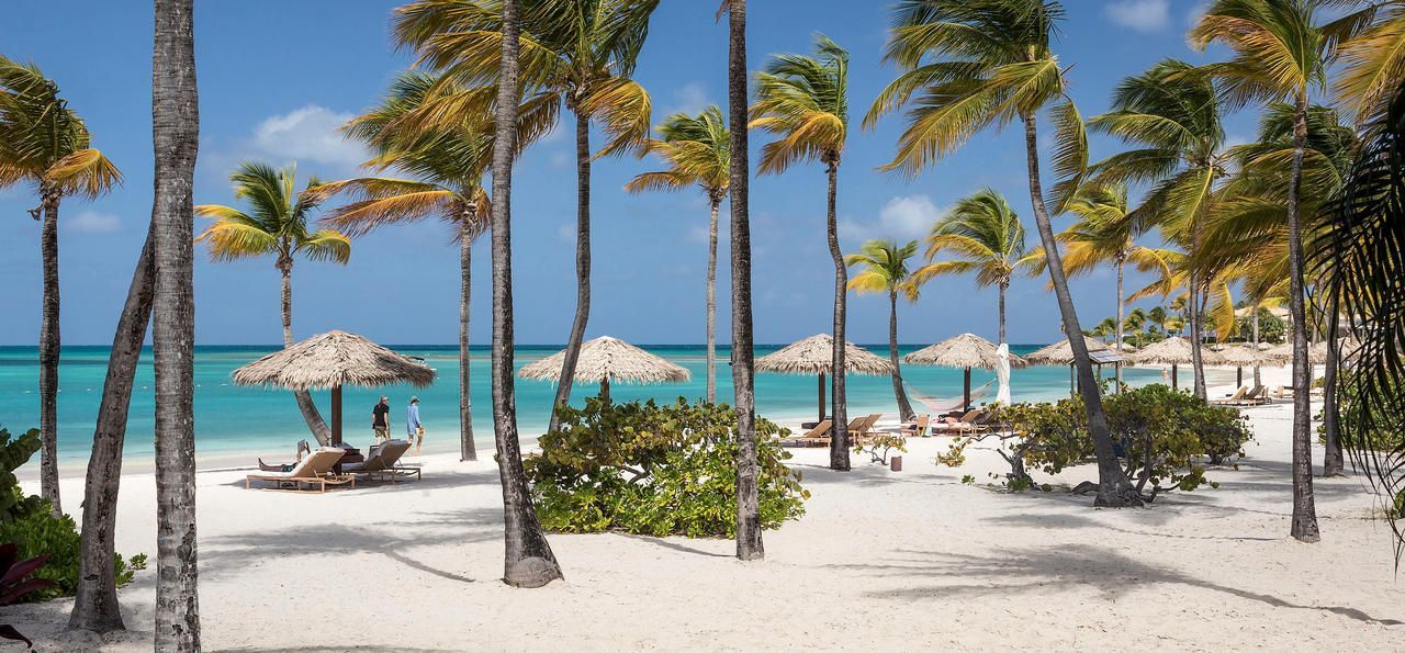 Beach with white sand, turquoise water, palm trees, thatched umbrellas, and lounge chairs under a blue sky.