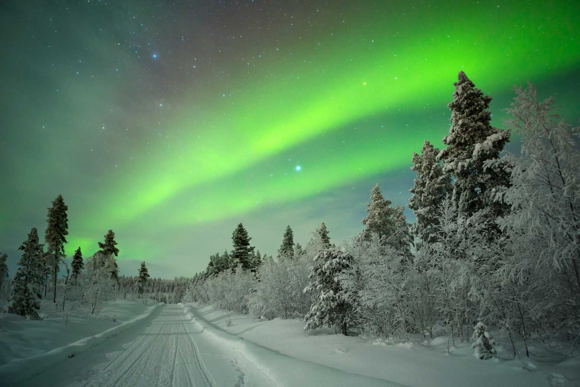 Green aurora borealis over a snow-covered road and evergreen trees under a starry night sky.
