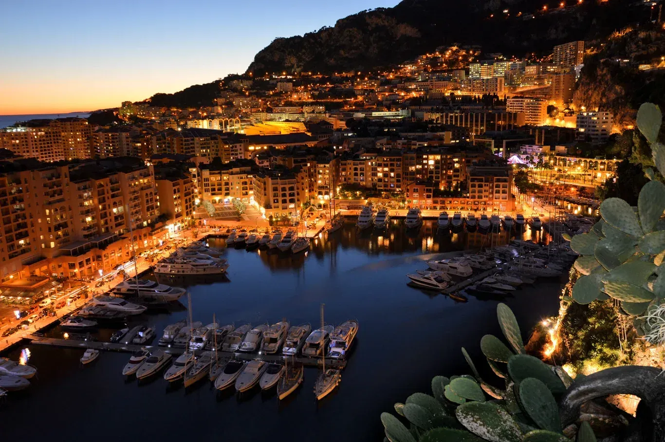 Night view of Monaco harbour, illuminated buildings, and numerous yachts.