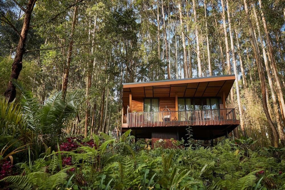 One&Only Gorilla's Nest Rwanda with Awake & Wander Luxury Travel