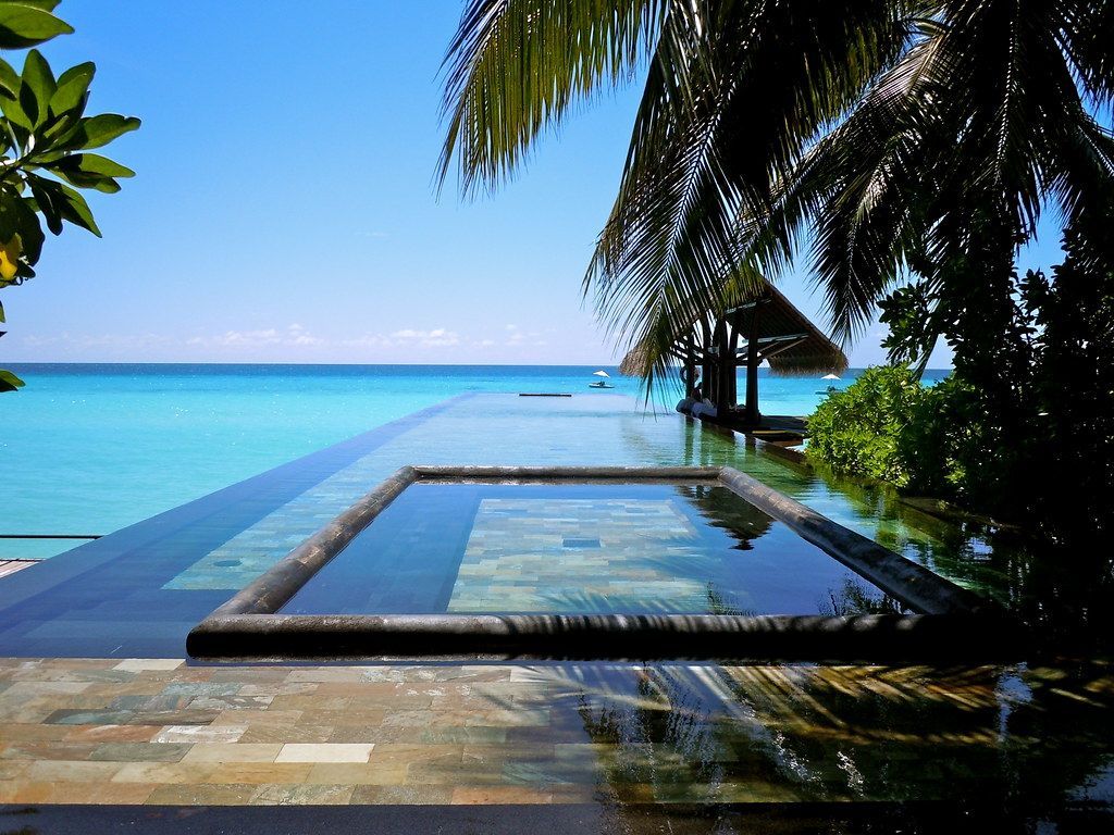 Infinity pool overlooking turquoise ocean, under palm trees on a sunny day. One&Only Reethi Rah Maldives