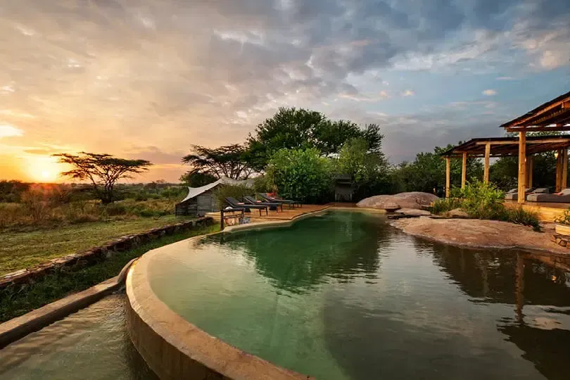 Sayari Camp – Northern Serengeti A scenic pool overlooking an African savanna at sunset. The water reflects the sky's colors: orange, yellow, and blue.