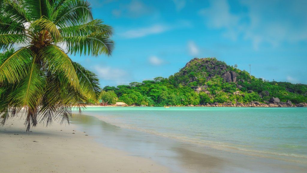 Sandy beach with palm trees, turquoise water, and a green, hilly island under a blue sky.Seychelles honeymoon