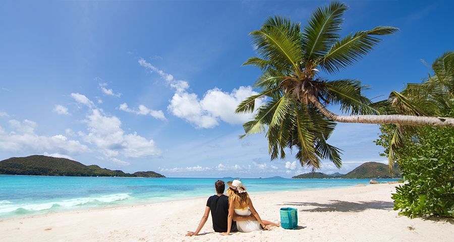 Couple sits on a white sand beach, looking at the turquoise ocean under a palm tree. Seychelles honeymoon