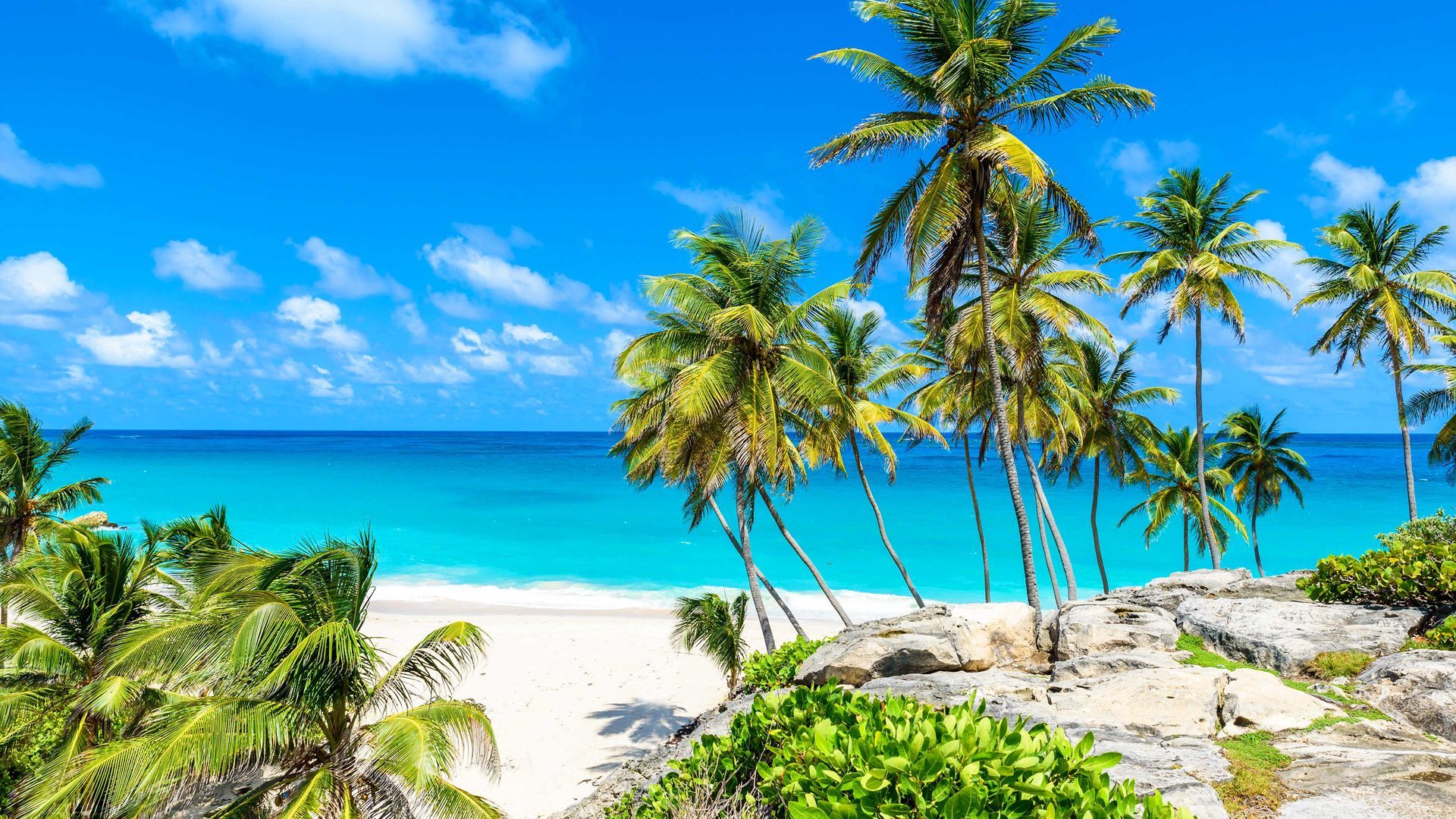 Tropical beach scene with palm trees, white sand, and turquoise water under a blue sky.