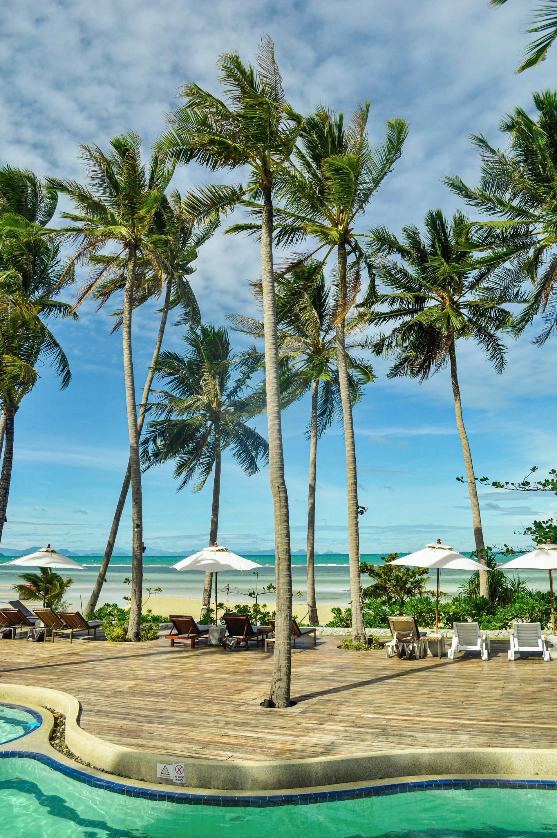 Palm trees line a beach with white umbrellas, lounge chairs, and a pool. Blue sky, ocean, and sand.