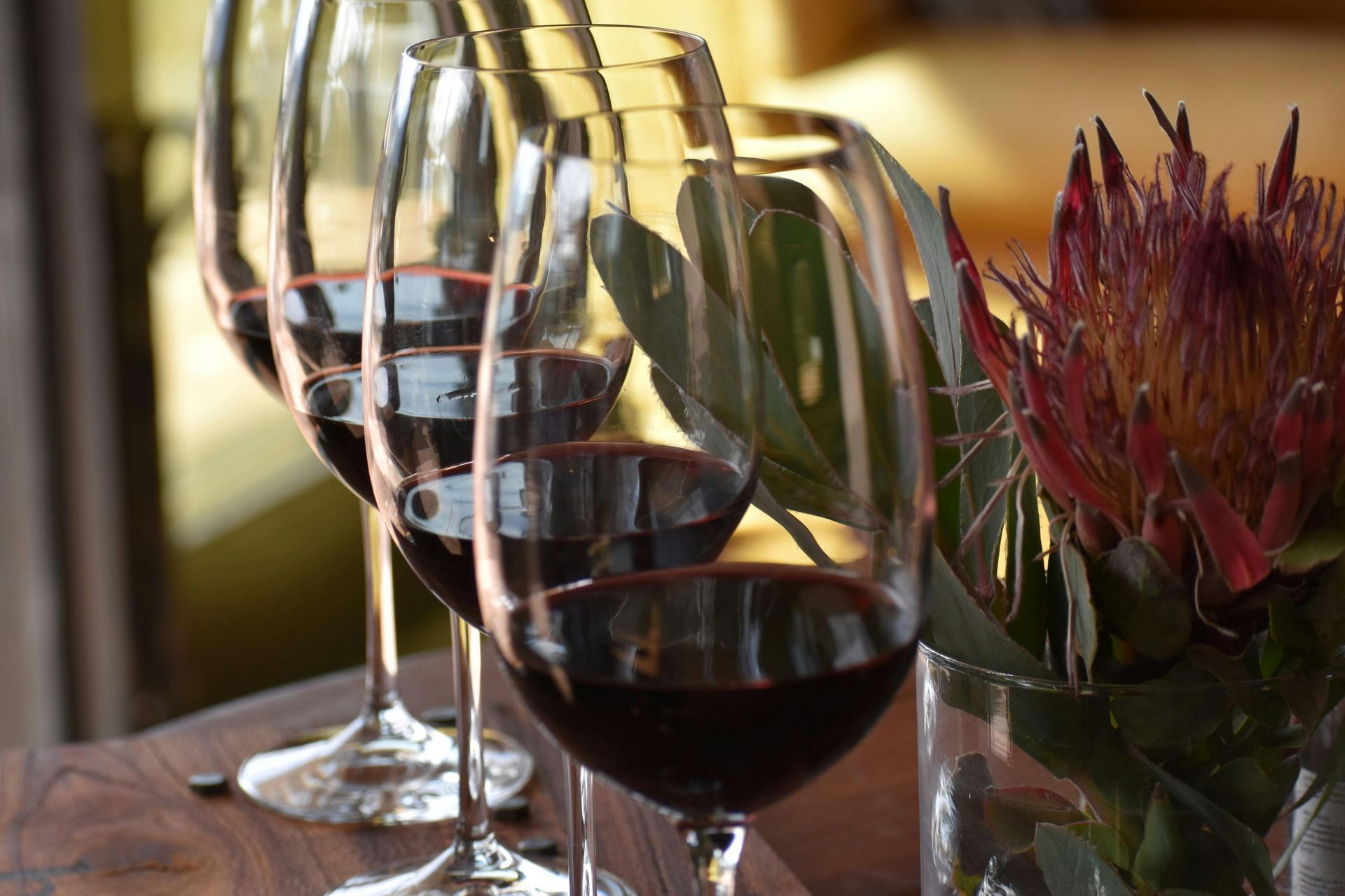 Four wine glasses filled with red wine are lined up on a wooden surface next to a decorative protea flower.