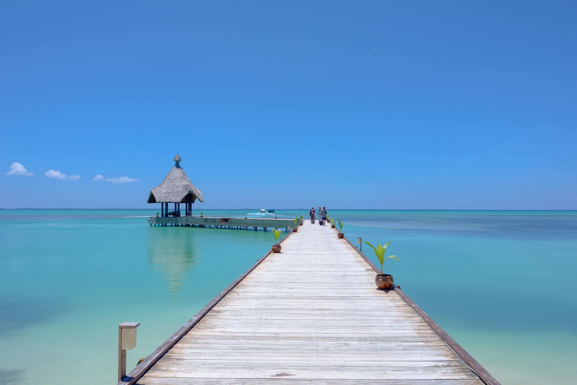 Luxury Travel Experiences | Awake & Wander