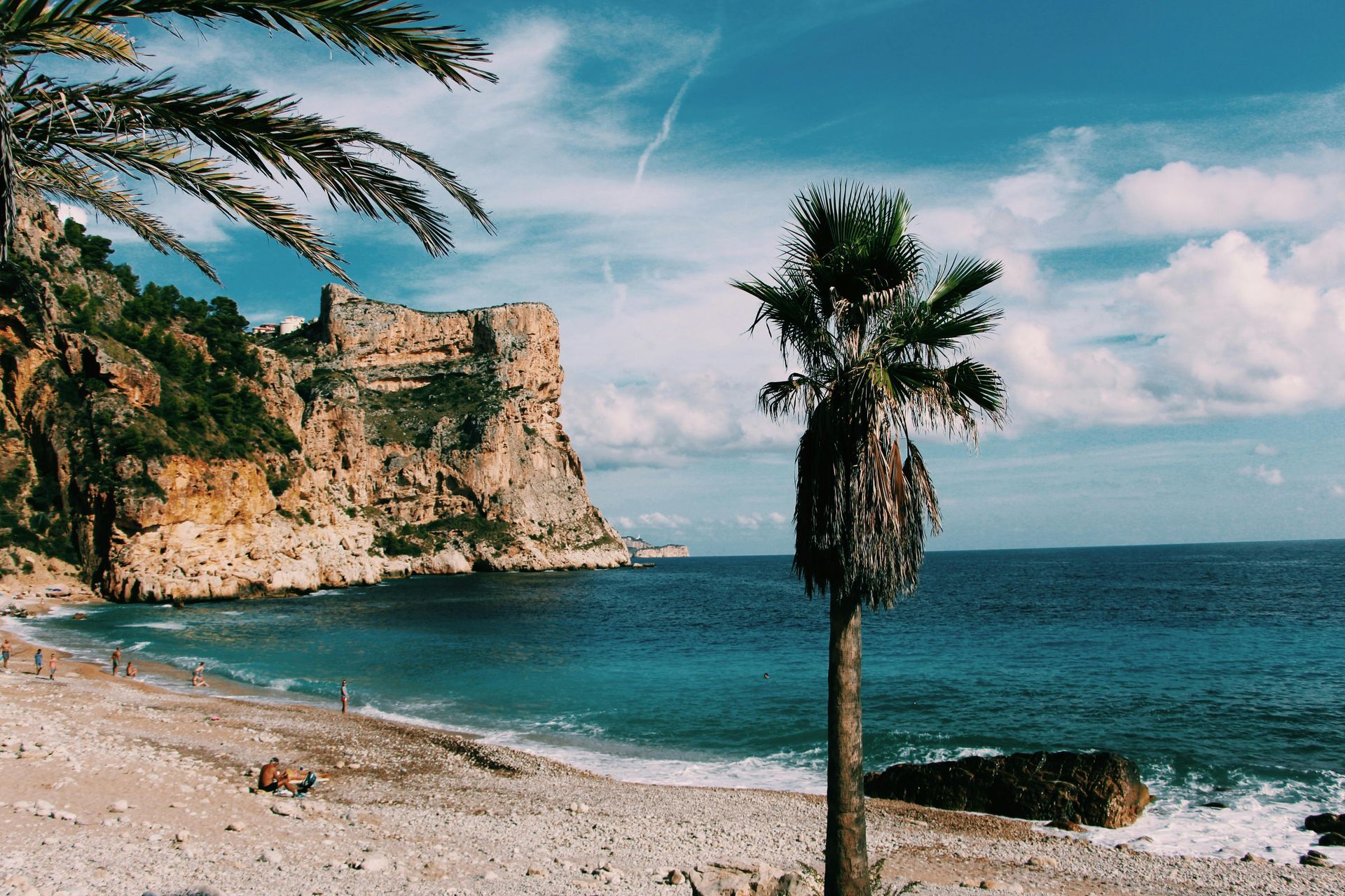 A rocky cliff overlooks a turquoise beach with a palm tree in the foreground under a blue sky with light clouds.