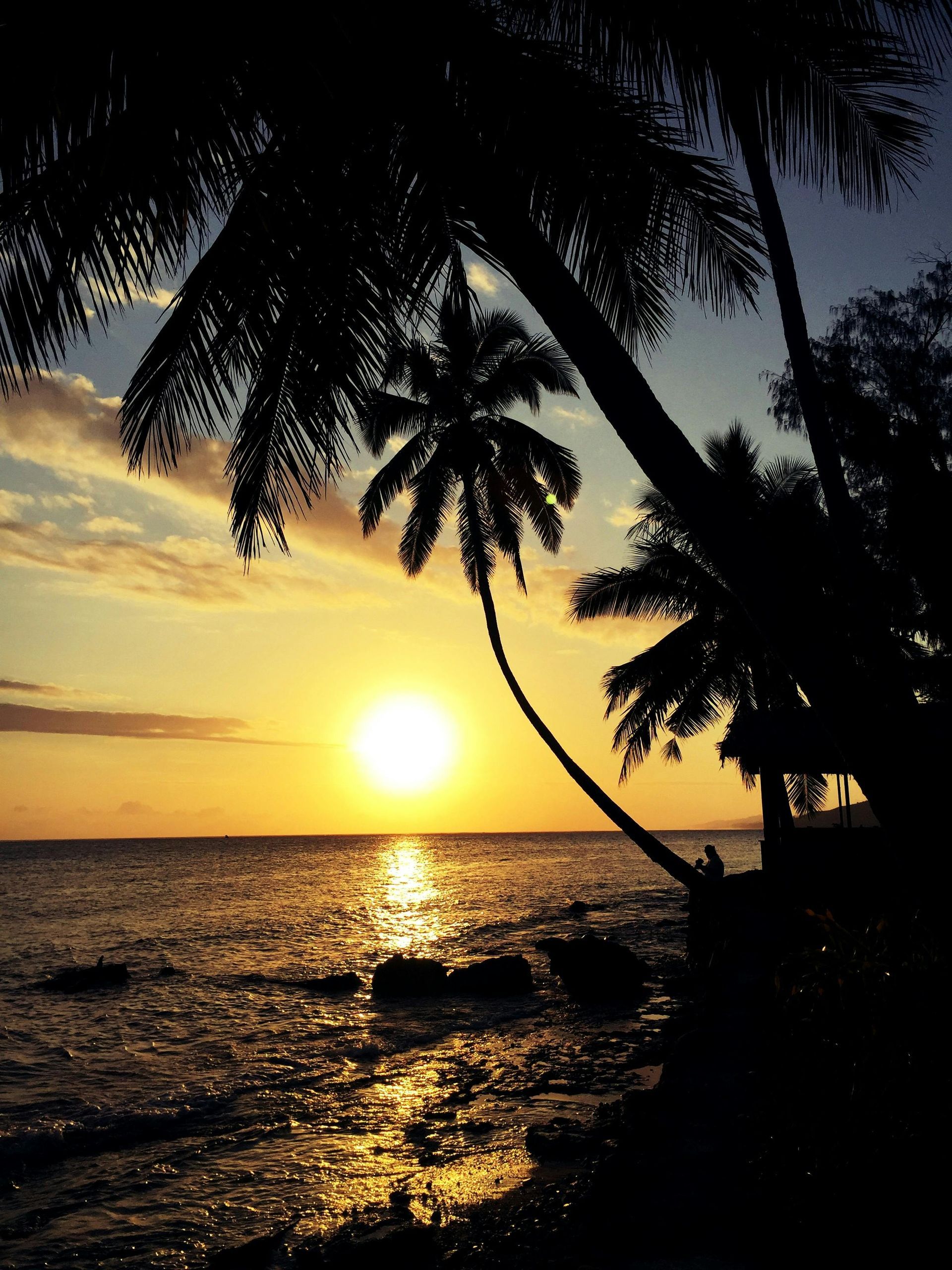 Sunset over ocean, palm trees silhouetted against a golden sky. Fiji