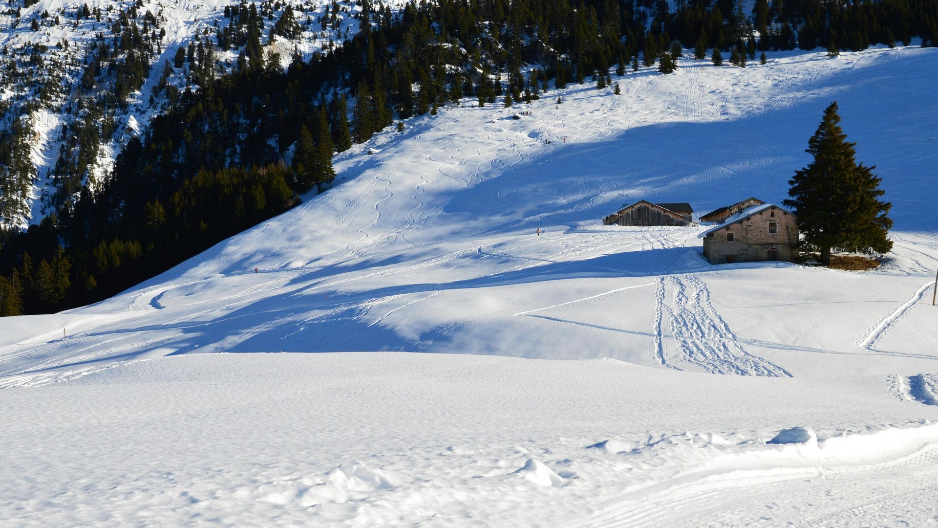 Courchevel 1850 - Luxury Ski Holidays in Europe