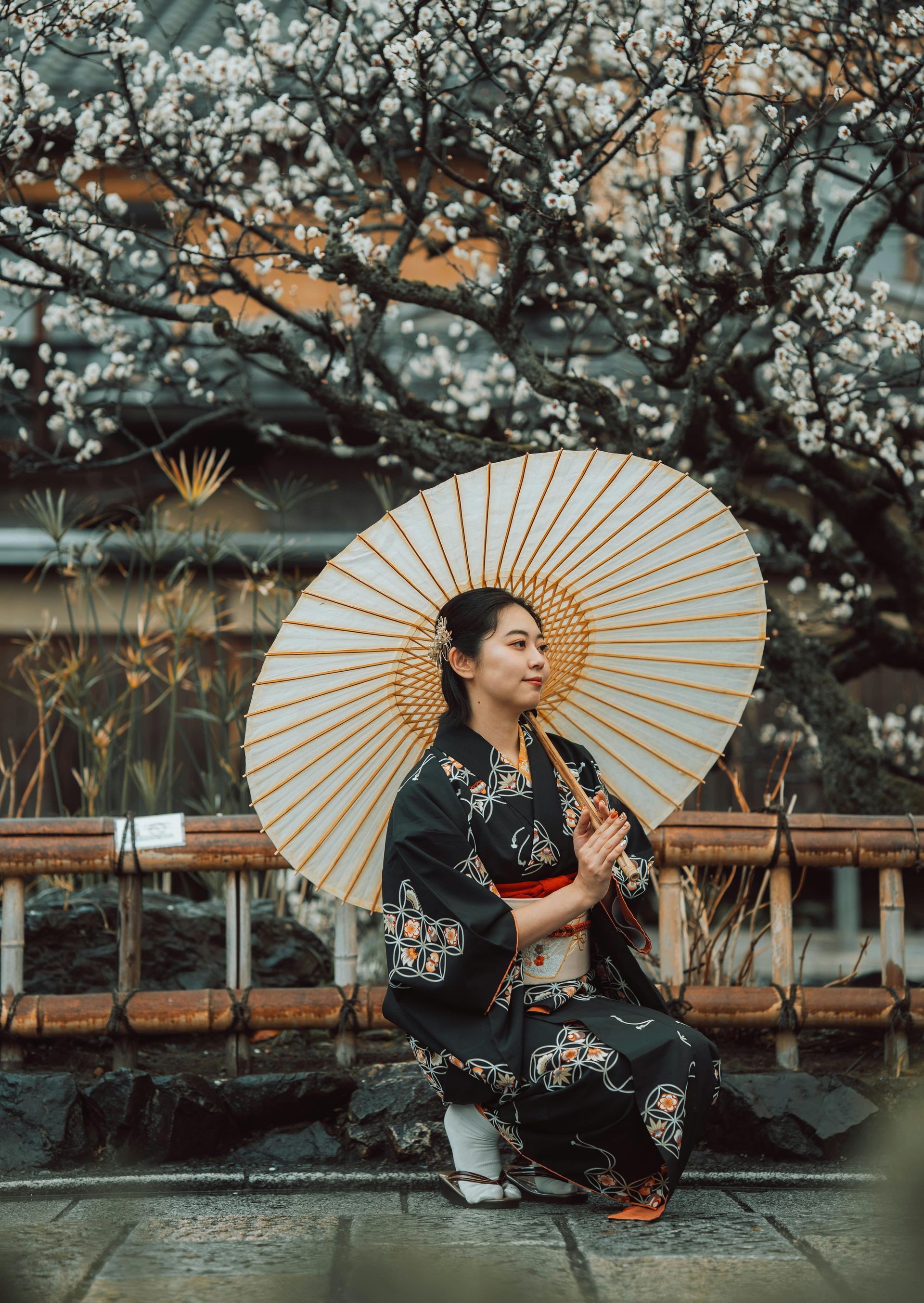 A person in a floral kimono kneels under a white umbrella amidst blooming plum trees in a traditional Japanese garden.