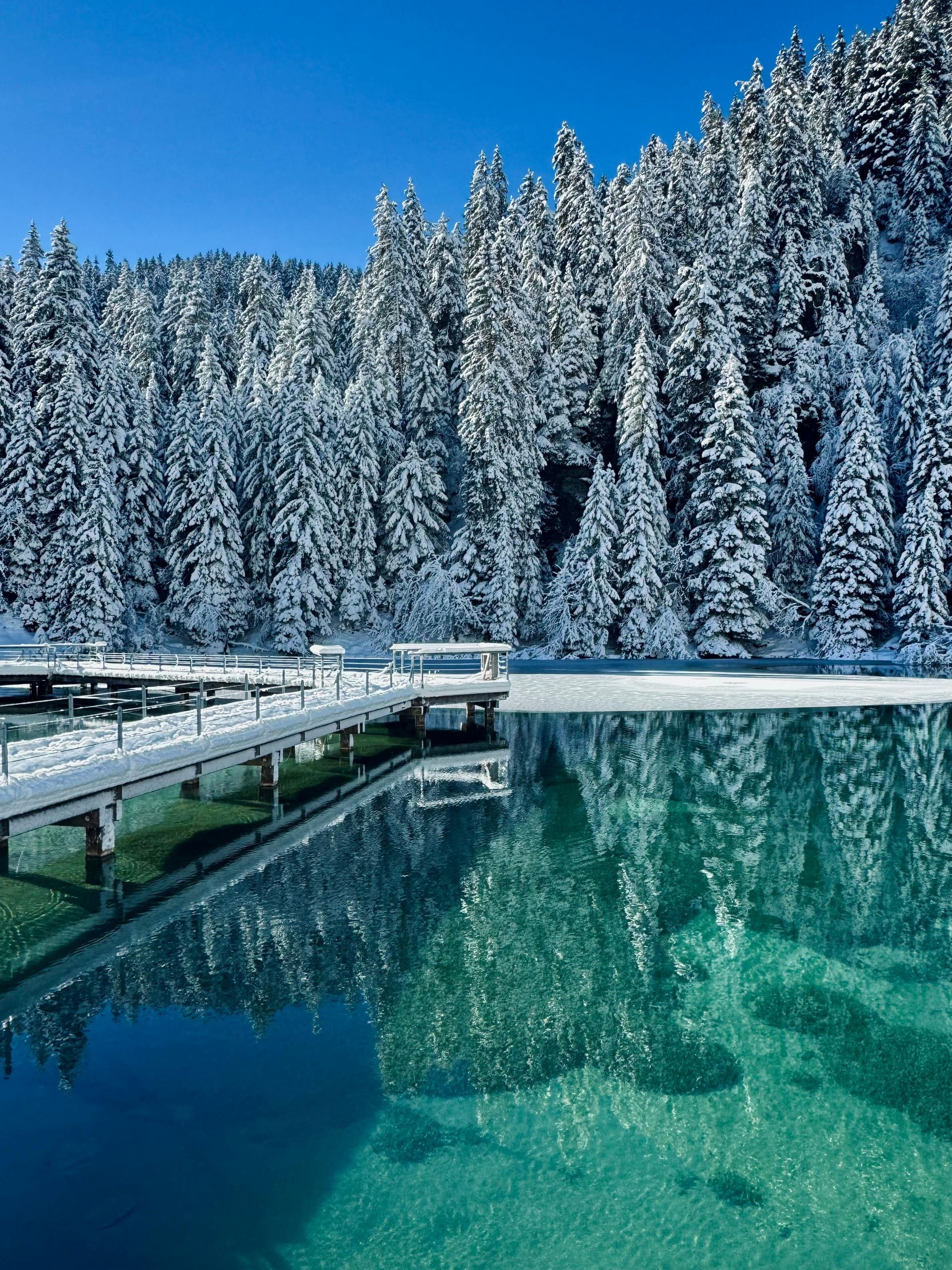 Swiss Alps  Courchevel