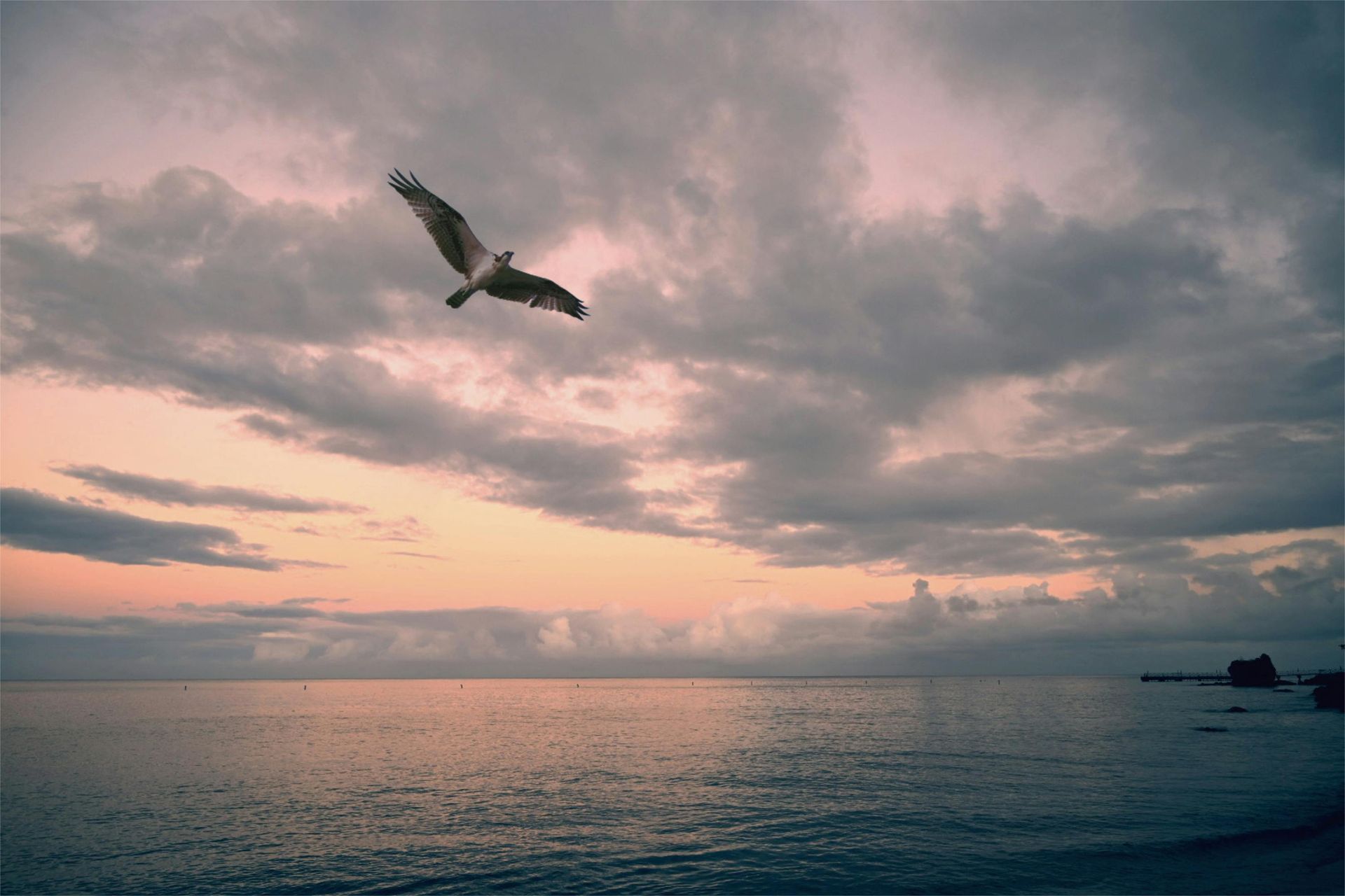 A bird flies over a calm, dark ocean beneath a cloudy, sunset-lit sky with soft hues of pink and orange.