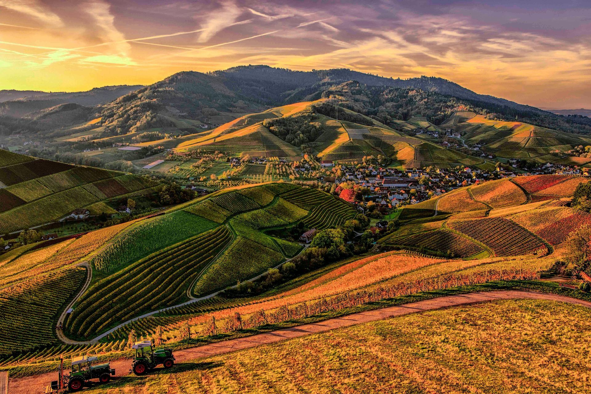 Rolling hills covered in vineyards, with a road and tractors, under a sunset sky.
