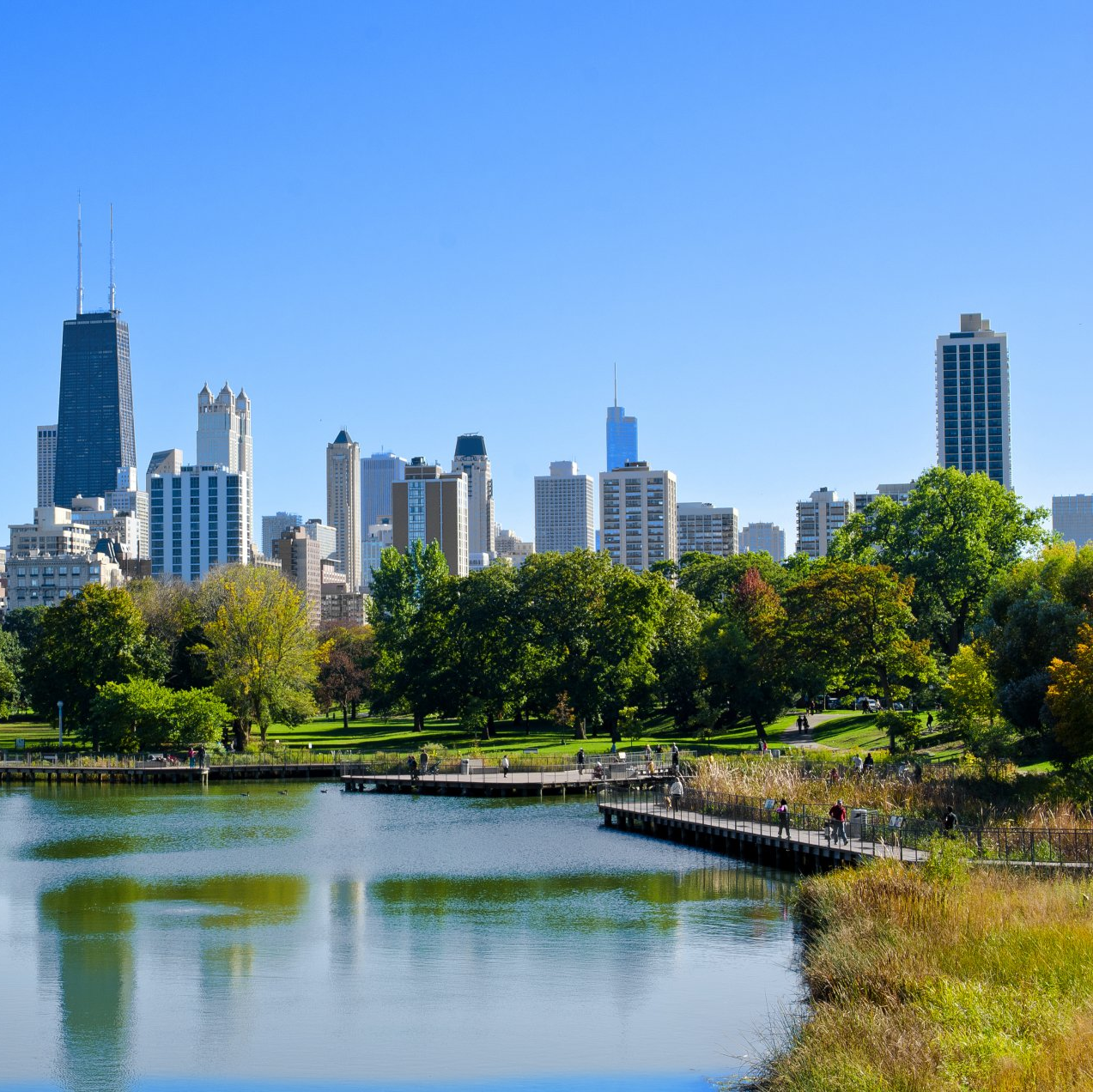 Photograph of the Chicago skyline as viewed from Lincoln Park