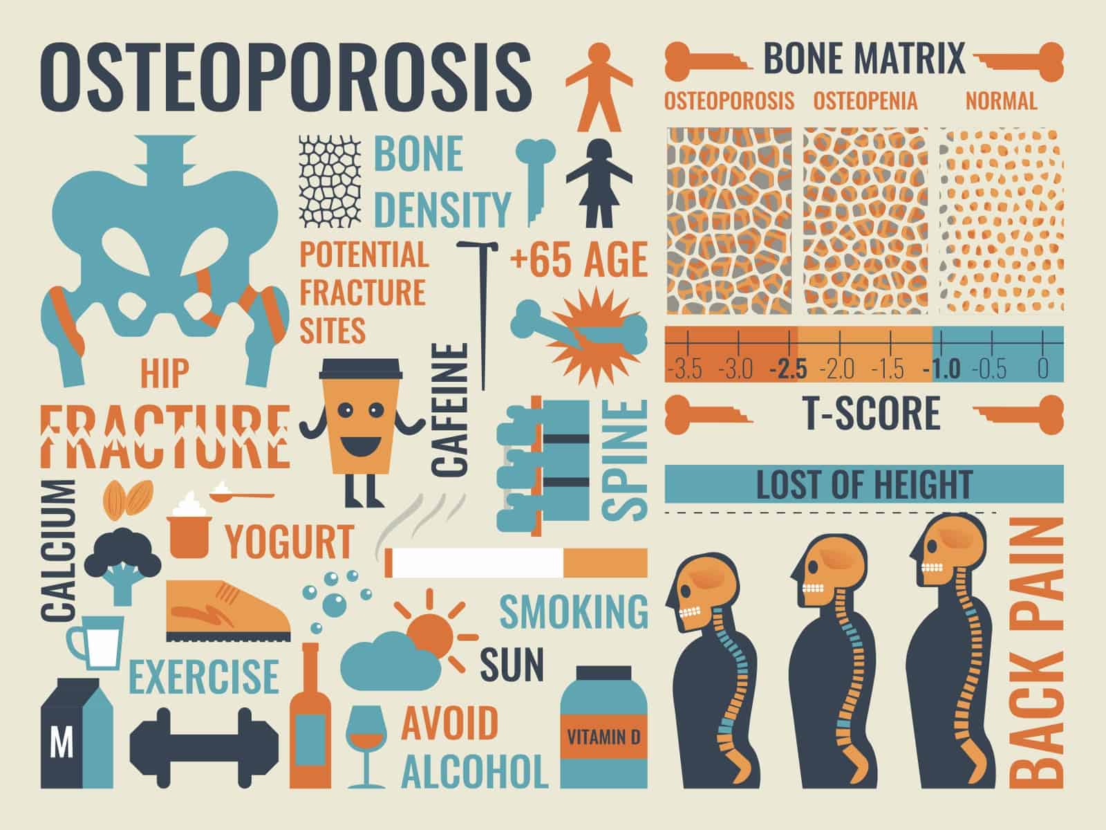 Osteoporosis diagnostic chart