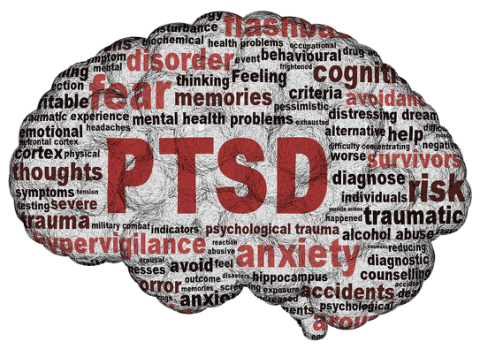 Brain drawing with PTSD and associated health issues written across