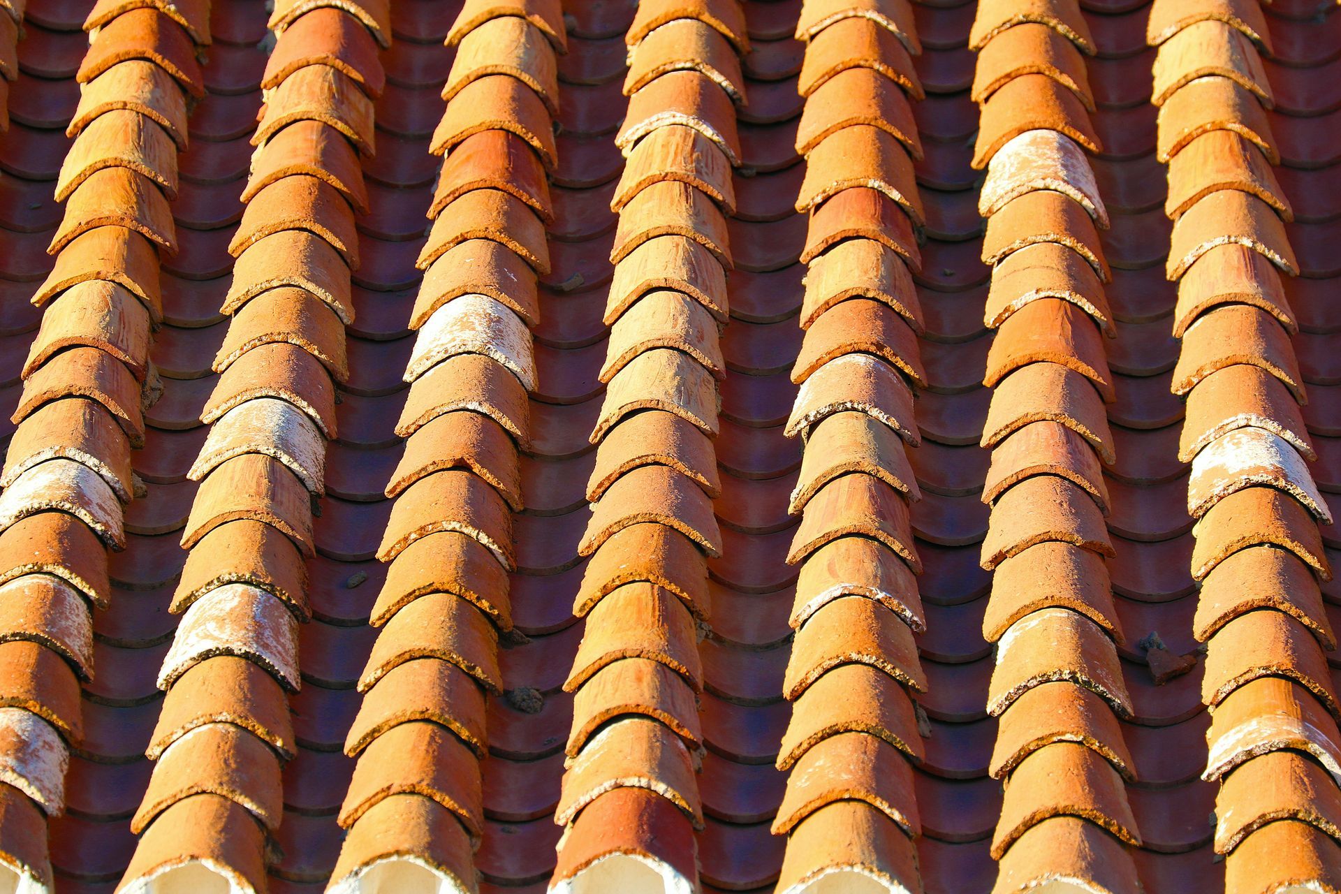 Close-up of a terracotta or clay tile roof, with rows of overlapping, weathered tiles.