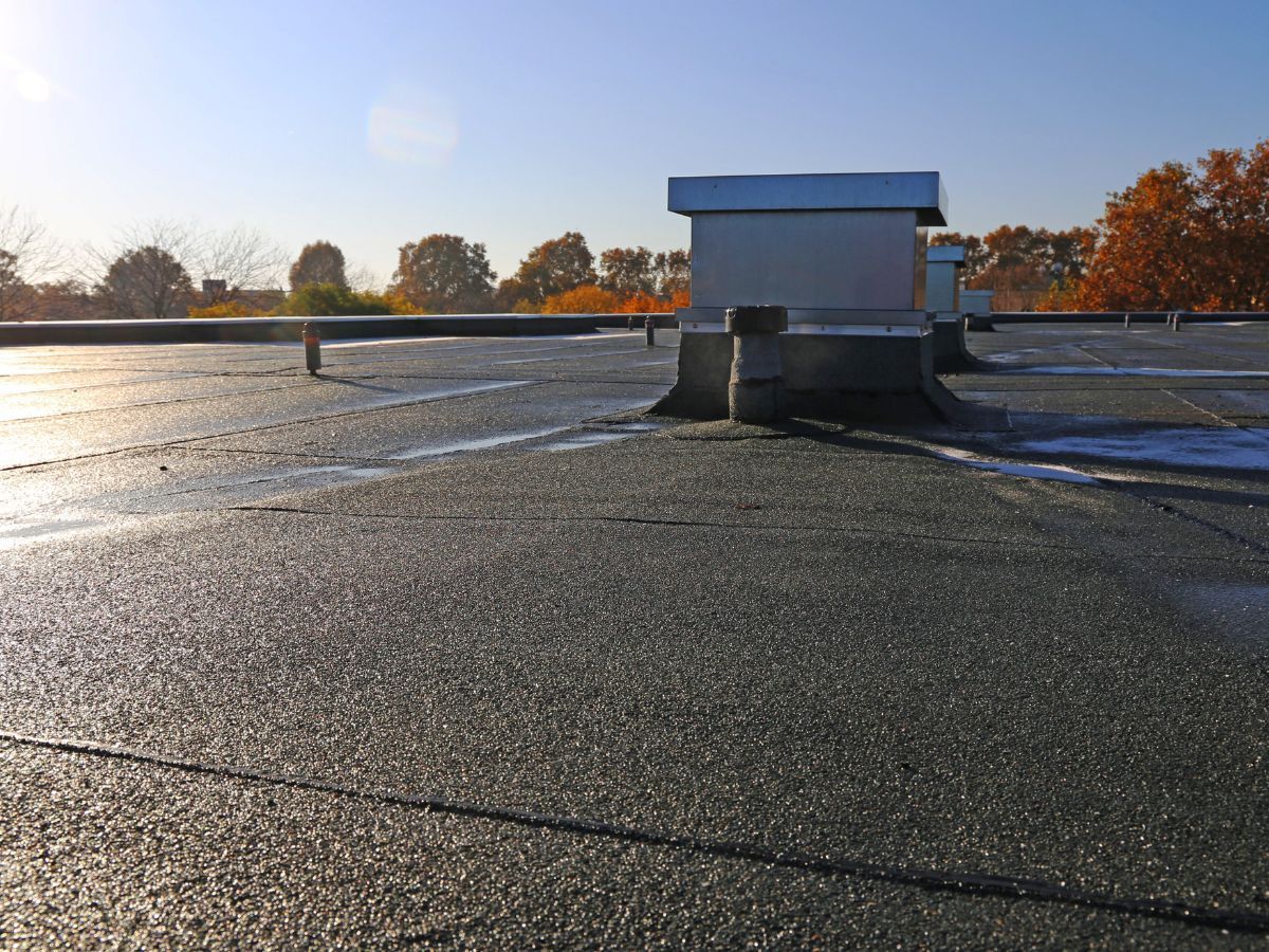Low-angle view of a flat roof with a vent in the center, trees and blue sky in the background.