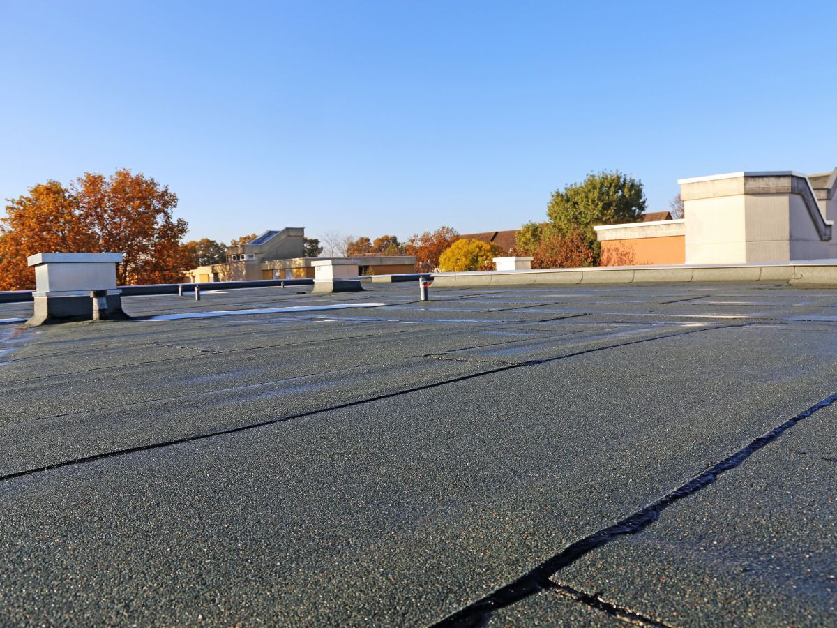 Flat, dark rooftop with visible seams under a clear blue sky; trees and buildings in the distance.