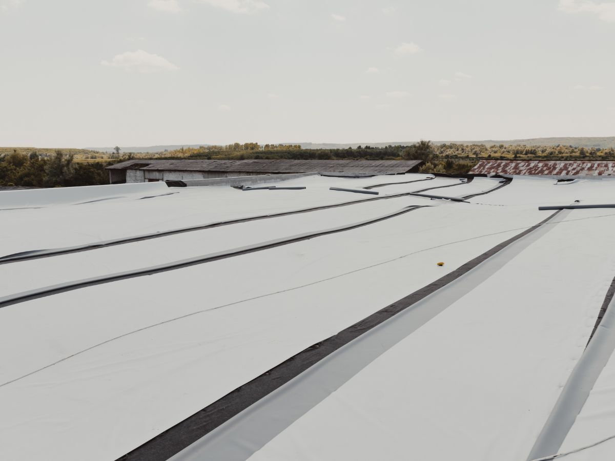 A large white flat roof with dark lines and a small orange ball in the distance. Sunny outdoor setting.