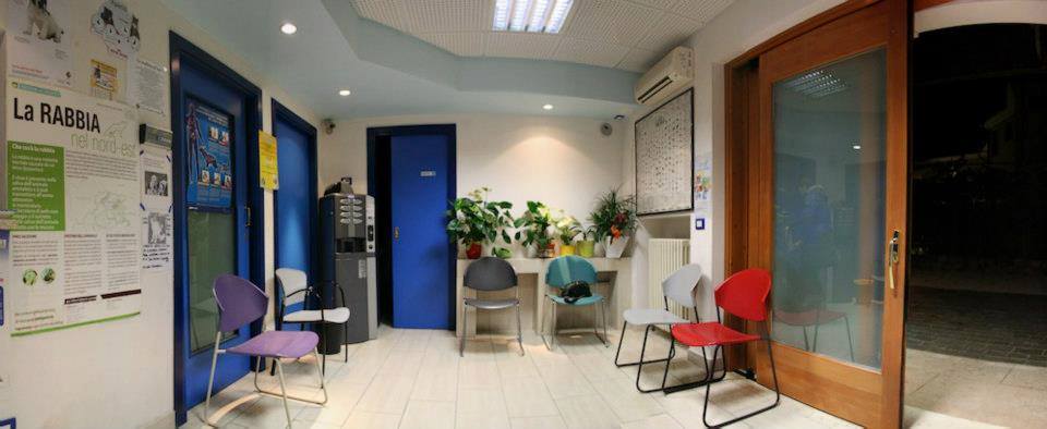 ambulatorio clinico veterinario