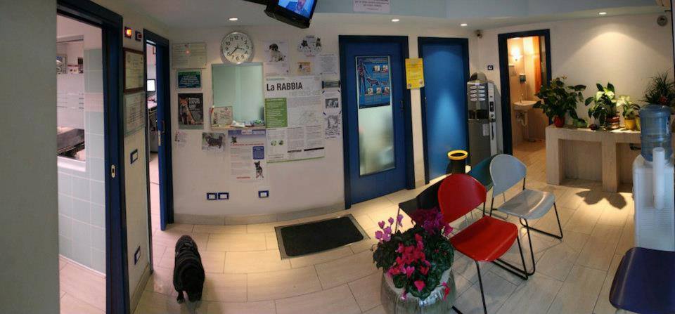 intervento veterinario a domicilio