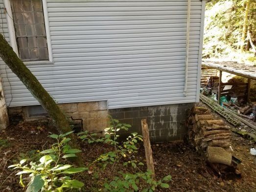 A white house with the trunk of fallen tree and plants in front of it.